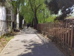 -尚庄度假村·庭台树下·户外烧烤·团建CS·轰趴营地(上庄水库店)