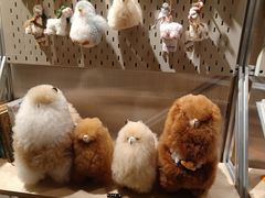 -京A Taproom·精酿餐吧(CBD店)