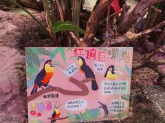 -正佳雨林生态植物园