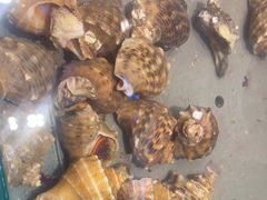 -海天盛宴新派海鲜自助餐厅(群力店)