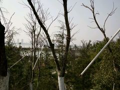 -瑶湖郊野森林公园