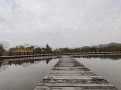 -长兴太湖图影湿地文化园