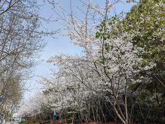 -黄兴公园