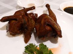 中山炒龄乳鸽-皇朝尊会(龙之梦大酒店)