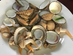 鸡腿螺-岛中岛·海鲜大排档·万宁老字号(东澳店)