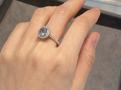 -Tiffany & Co.蒂芙尼
(武汉武商MALL店)