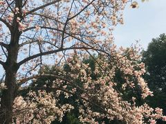 -南京晨光1865创意产业园