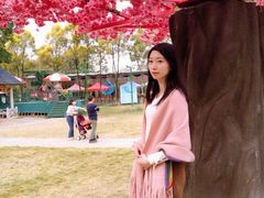 -广东花都香草世界旅游度假区