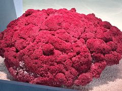 -中国湿地博物馆