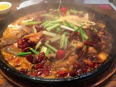 -老板恋上鱼(印象城店)