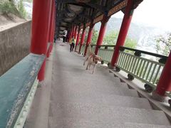 -兰山公园