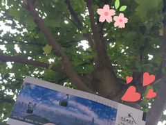 -紫金山山顶公园