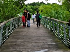 -西湖风景区-江洋畈生态公园