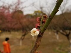 -白塘生态植物园