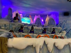 -帝企鹅自助餐厅•儿童岛•真企鹅(长隆企鹅酒店)