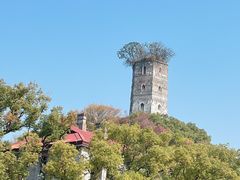 -江心屿景区