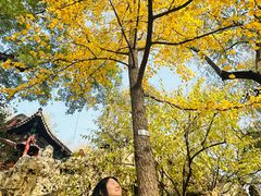 -后海公园