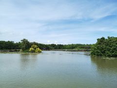 -大湾区中央湿地公园