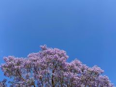 -月亮湾湿地公园