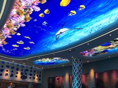 -瑞德姆美人鱼海底演艺主题餐厅(亚龙湾店)