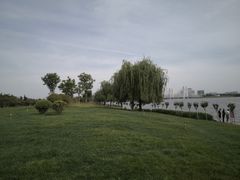 -郑东新区龙湖公共艺术中心