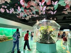 -上海大自然野生昆虫馆(东方明珠·爬宠昆虫探索中心)