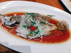 -红城阁·上海味道(四平路店)