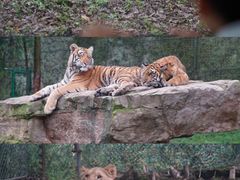 -乐和乐都主题乐园