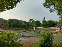-青龙山国家森林公园