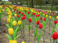 -怡海公园(桂城街道)