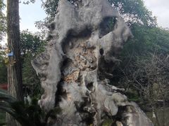 -两河城市森林公园