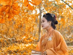 -桤木河湿地公园