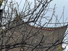 -广州市流溪河国家森林公园