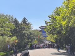 -西霞口神雕山野生动物世界