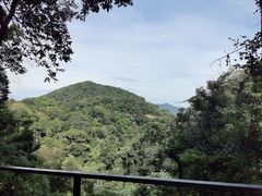 -广州市帽峰山景区
