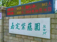 -嘉定紫藤园