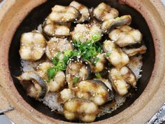 -红星光发煲仔饭(大石街店)