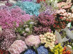 -双季花艺园艺市场(浦东店)