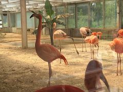 -石家庄市动物园