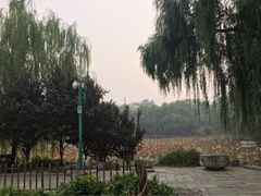 -紫竹院公园冰场