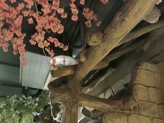 -城墙拐拐火锅(三峡广场黑金冠店)