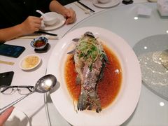 -寻味顺德·顺峰山庄(大良店)