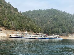 -千岛湖东南湖区
