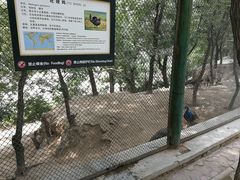 -太原动物园