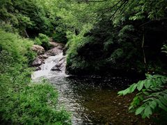 -云岫谷游猎自然风景区