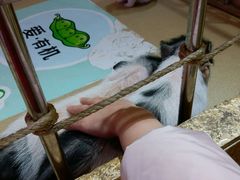 -北国商城