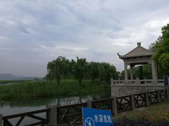 -湖鲜楼