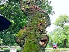 -桂林灵渠景区