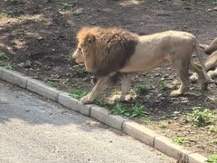 -大连森林动物园