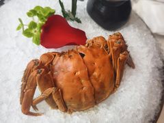 -宁波石浦大饭店(新材料城店)